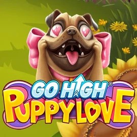 Go High Puppy Love slot visual from RubyPlay available on leovegasscasino.it